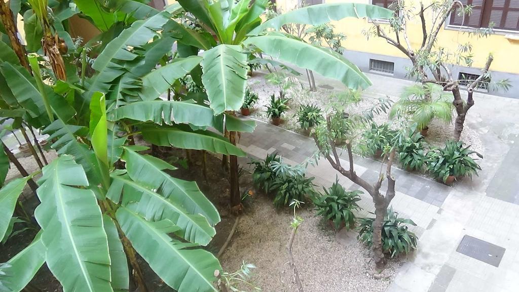 阿杜西之家住宿加早餐旅馆 罗马 外观 照片